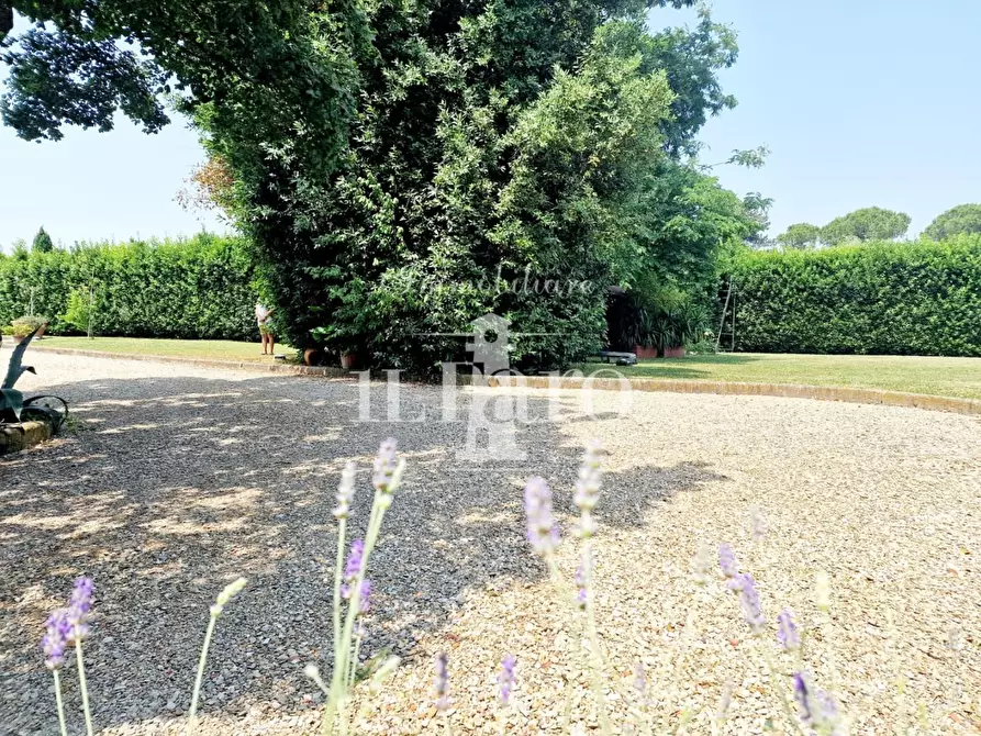 Immagine 19 di Porzione di casa in vendita  a Campi Bisenzio