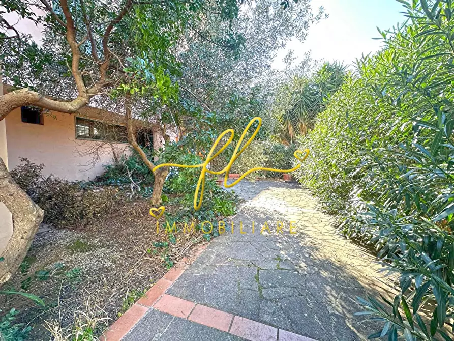 Immagine 24 di Appartamento in vendita  a Cecina