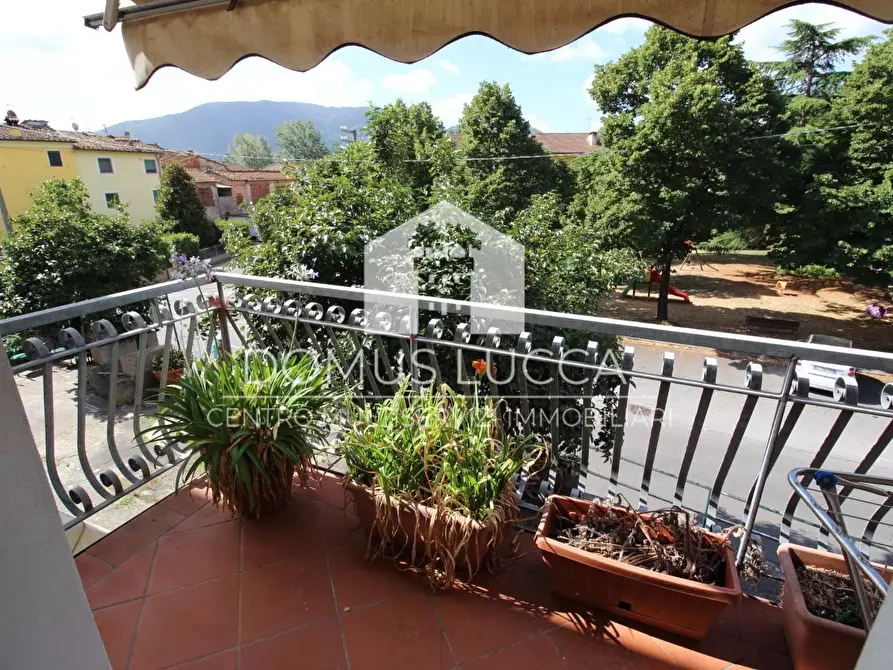 Immagine 18 di Appartamento in vendita  a Lucca