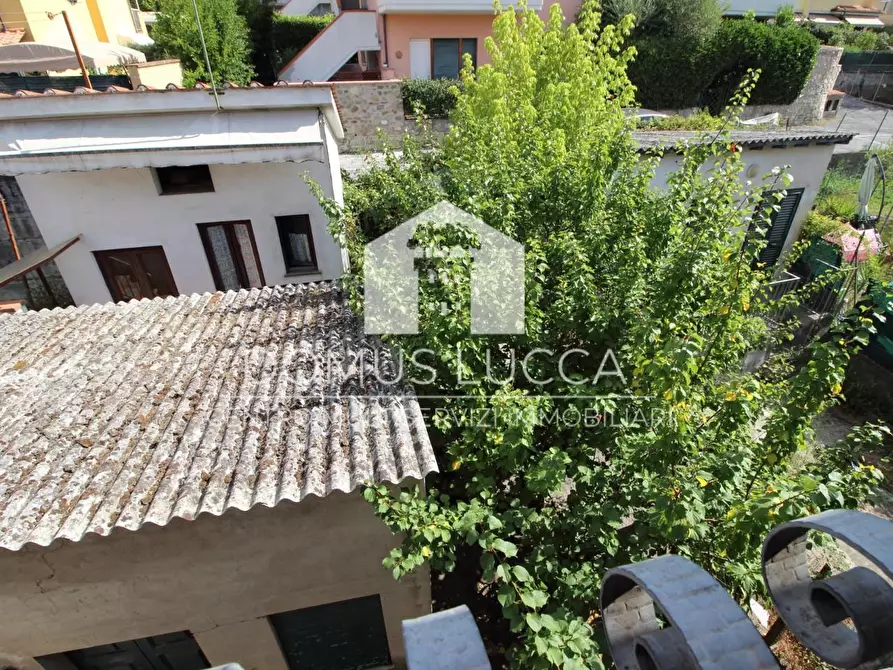 Immagine 36 di Appartamento in vendita  a Lucca