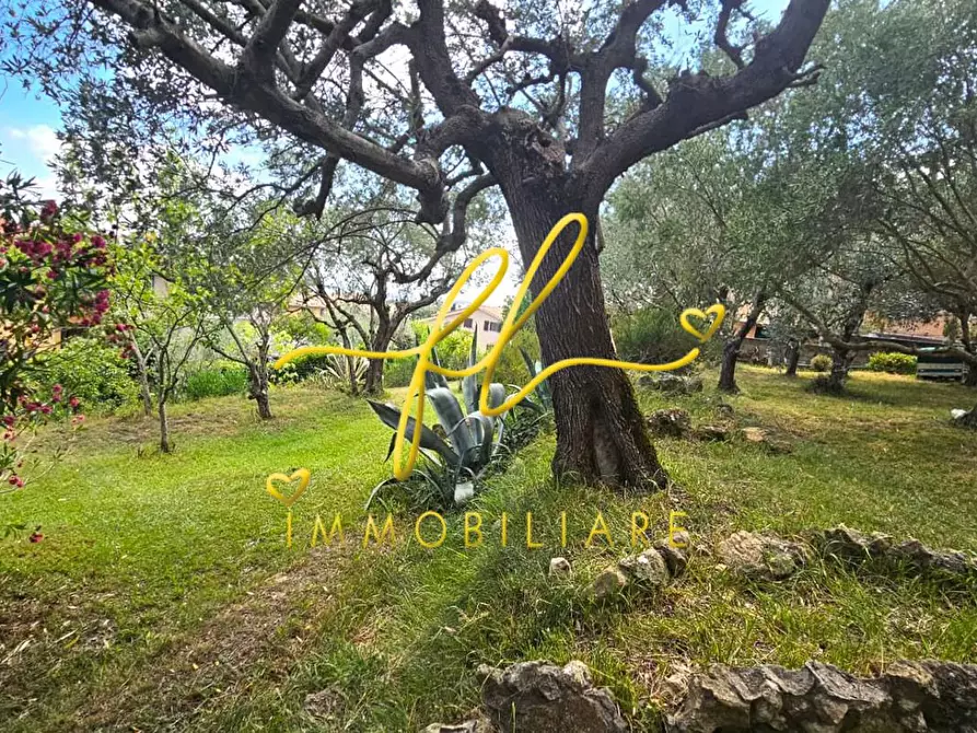 Immagine 28 di Casa bifamiliare in vendita  a Rosignano Marittimo