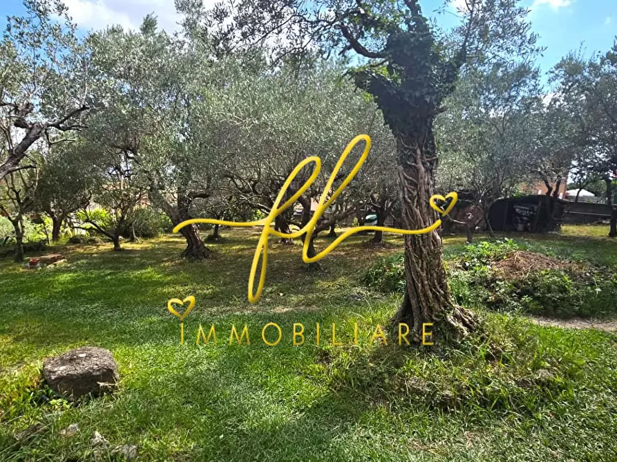 Immagine 25 di Casa bifamiliare in vendita  a Rosignano Marittimo