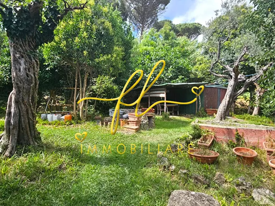 Immagine 32 di Casa bifamiliare in vendita  a Rosignano Marittimo