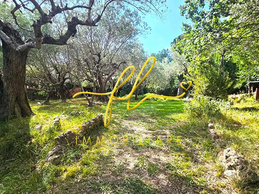 Immagine 26 di Casa bifamiliare in vendita  a Rosignano Marittimo