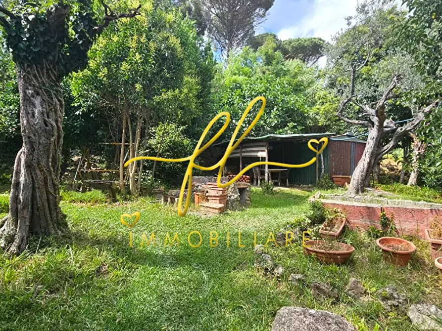 Immagine 17 di Casa bifamiliare in vendita  a Rosignano Marittimo