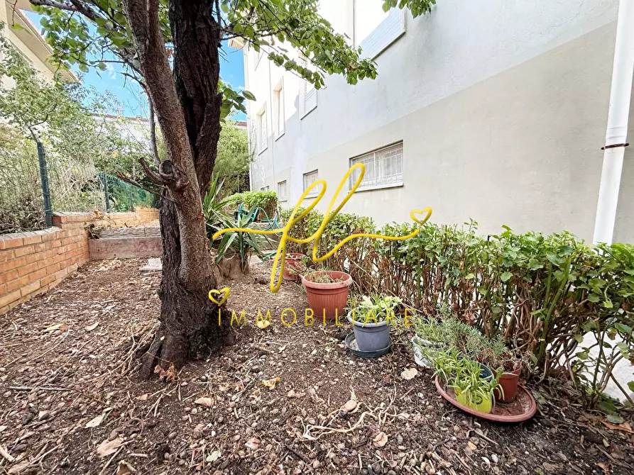 Immagine 16 di Appartamento in vendita  a Cecina