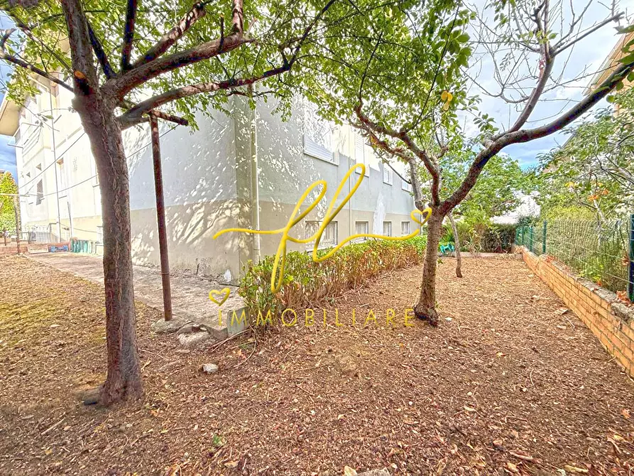 Immagine 18 di Appartamento in vendita  a Cecina