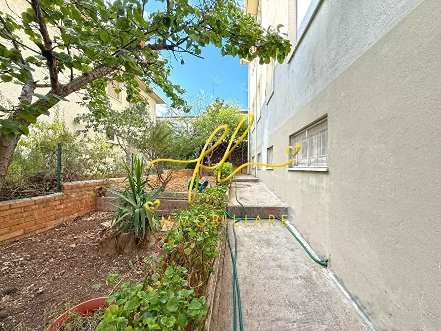 Immagine 15 di Appartamento in vendita  a Cecina