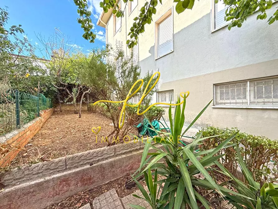 Immagine 17 di Appartamento in vendita  a Cecina