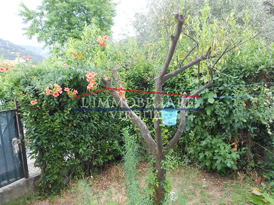 Immagine 48 di Casa bifamiliare in vendita  a Massa