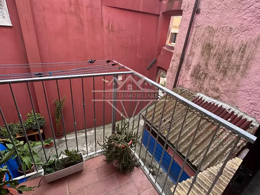 Immagine 11 di Terratetto in vendita  a Carrara