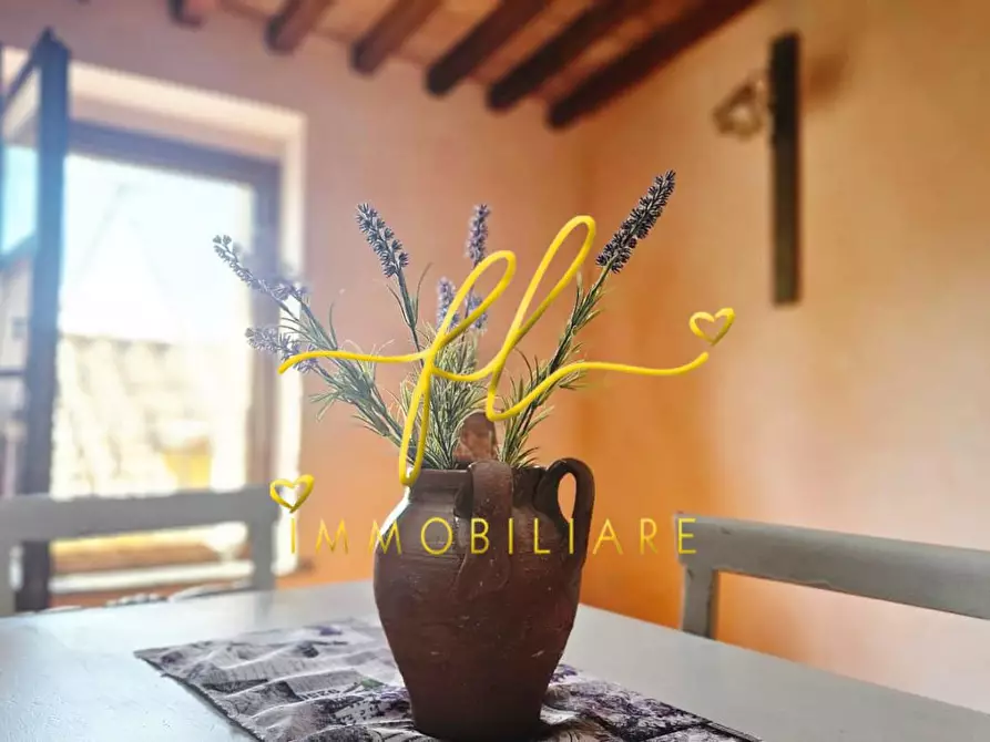 Immagine 6 di Appartamento in vendita  a Santa Luce