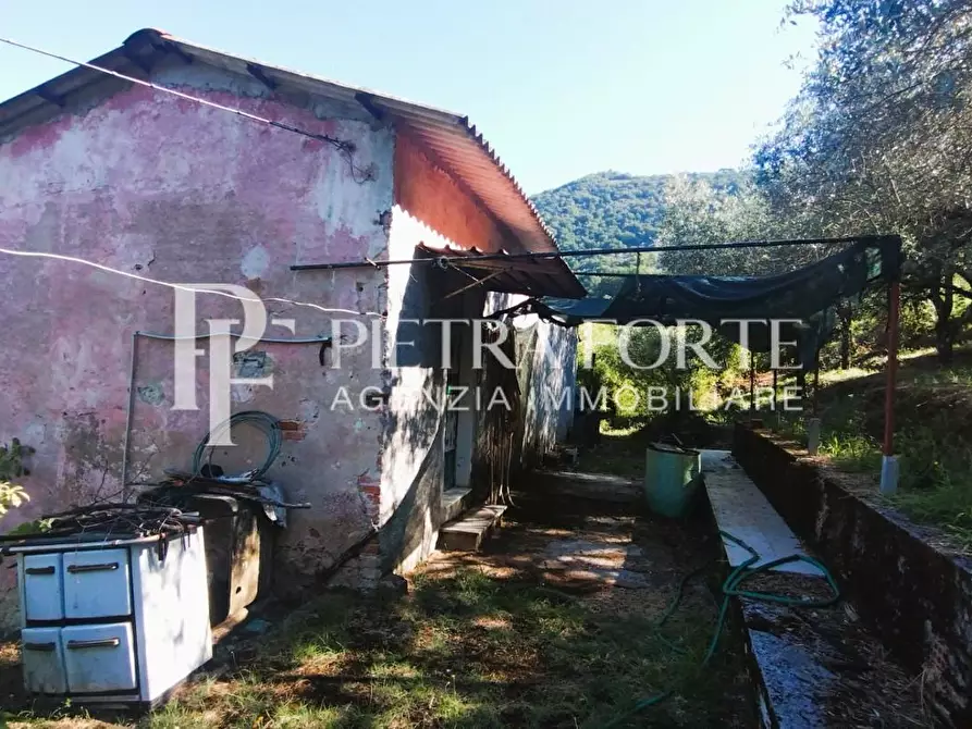 Immagine 4 di Rustico / casale in vendita  a Carrara
