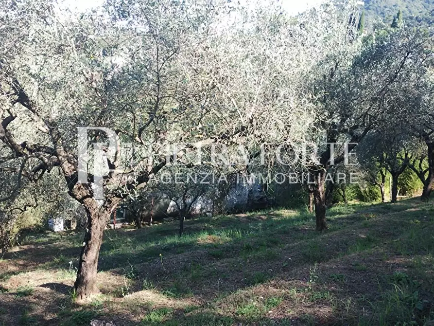 Immagine 12 di Rustico / casale in vendita  a Carrara