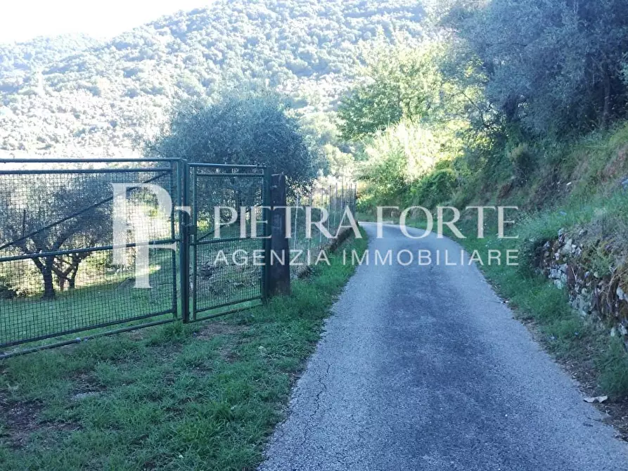 Immagine 13 di Rustico / casale in vendita  a Carrara