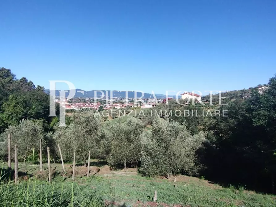 Immagine 6 di Rustico / casale in vendita  a Carrara