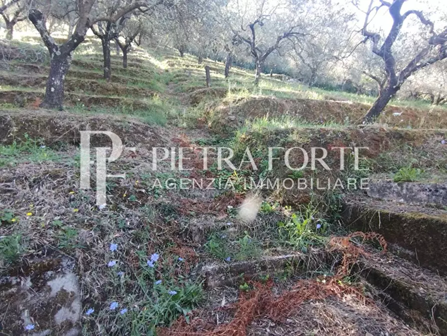 Immagine 10 di Rustico / casale in vendita  a Carrara