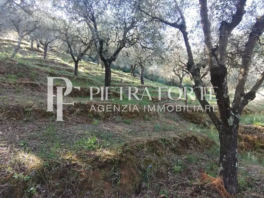 Immagine 9 di Rustico / casale in vendita  a Carrara