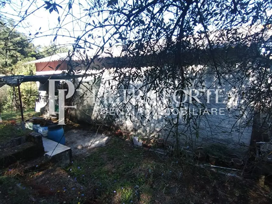 Immagine 7 di Rustico / casale in vendita  a Carrara