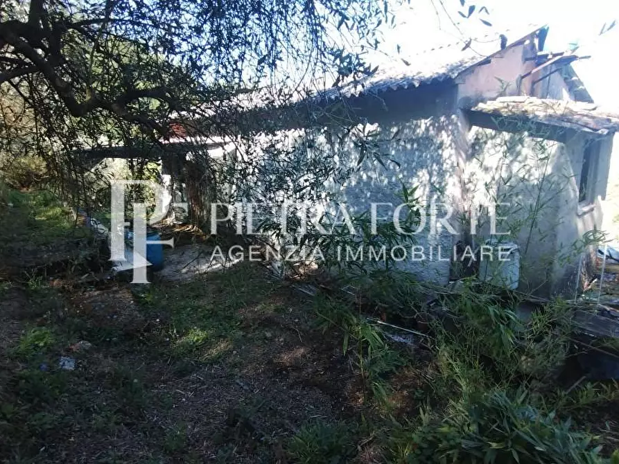 Immagine 8 di Rustico / casale in vendita  a Carrara