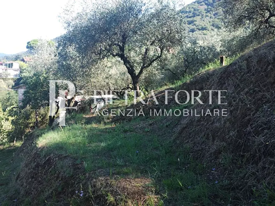 Immagine 11 di Rustico / casale in vendita  a Carrara