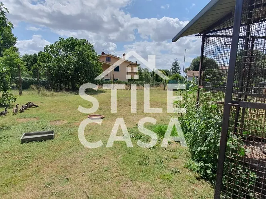 Immagine 6 di Casa indipendente in vendita  a Porcari