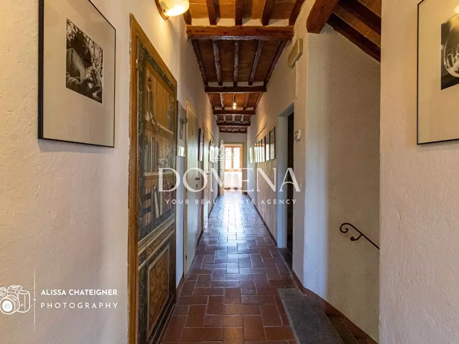 Immagine 24 di Casa colonica in vendita  a Montespertoli
