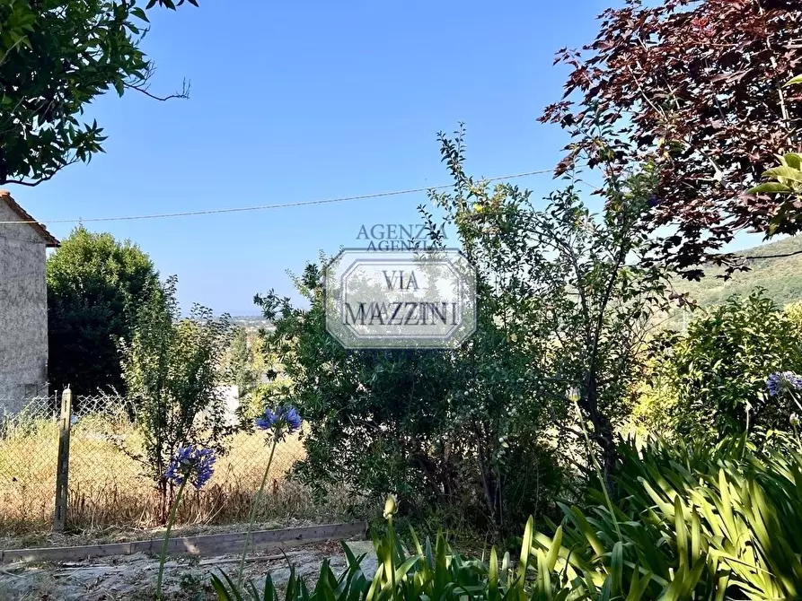 Immagine 13 di Casa bifamiliare in vendita  a Pietrasanta