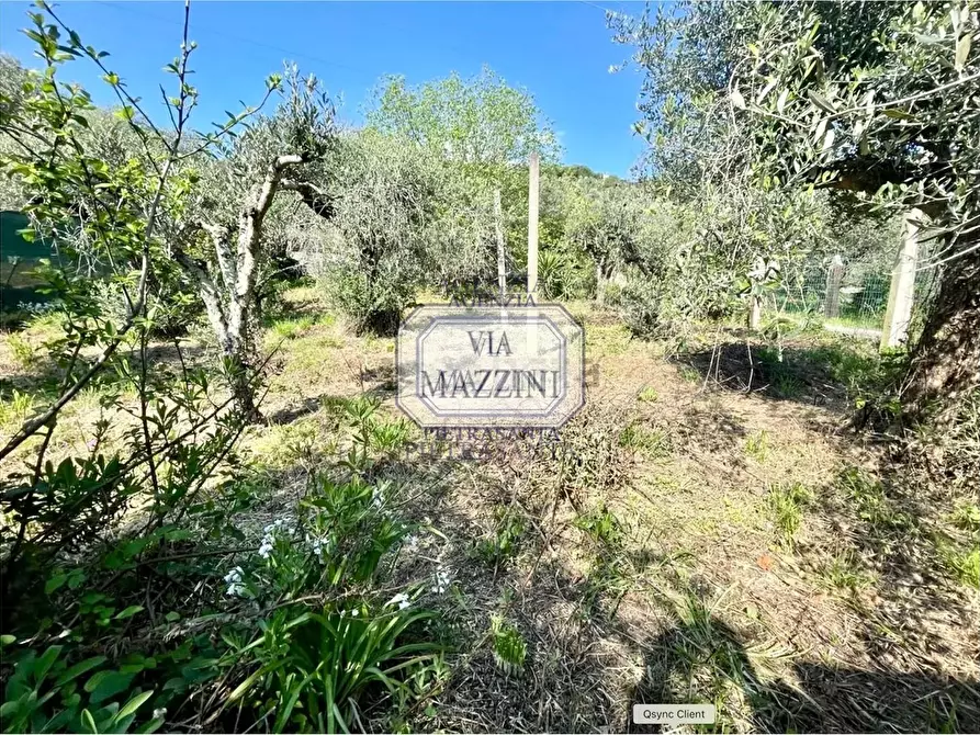 Immagine 17 di Casa bifamiliare in vendita  a Pietrasanta