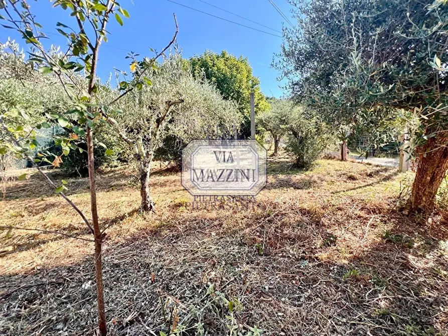 Immagine 16 di Casa bifamiliare in vendita  a Pietrasanta