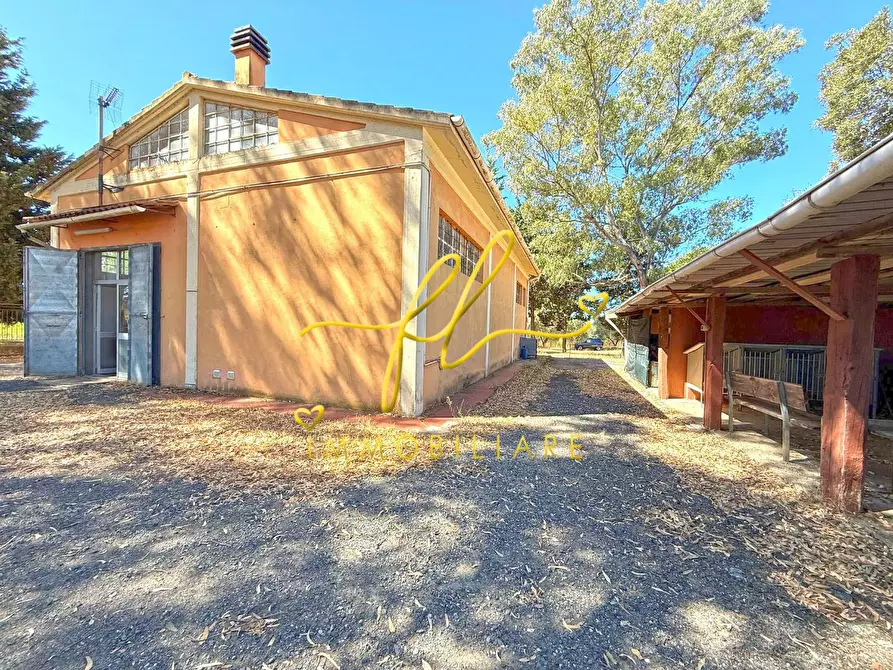 Immagine 2 di Attività artigianale in vendita  a Cecina