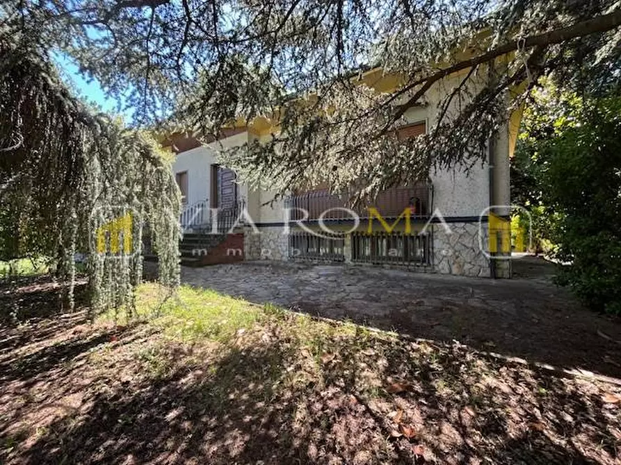 Immagine 4 di Villa in vendita  a Capannori