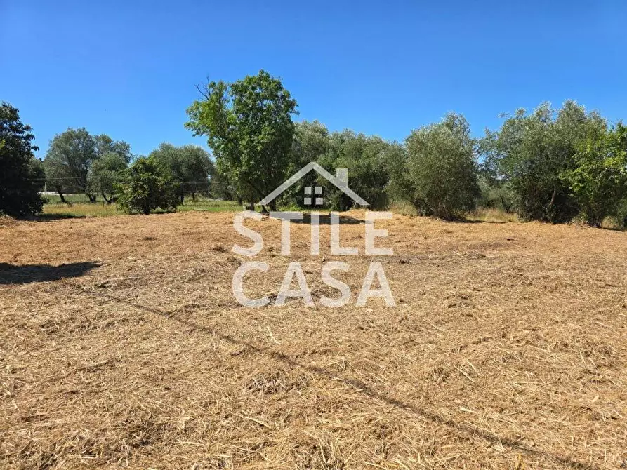 Immagine 3 di Casa bifamiliare in vendita  a Fucecchio