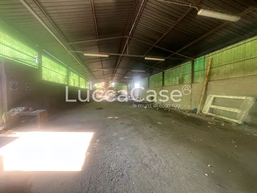 Immagine 1 di Magazzino in affitto  a Capannori