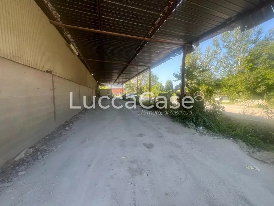 Immagine 3 di Magazzino in affitto  a Capannori