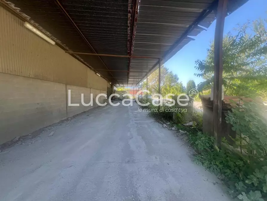 Immagine 2 di Magazzino in affitto  a Capannori