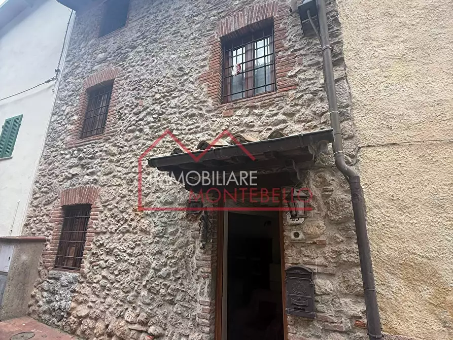 Immagine 25 di Terratetto in vendita  a Camaiore