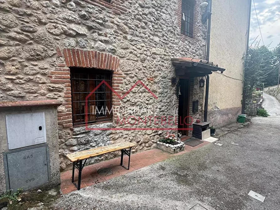 Immagine 8 di Terratetto in vendita  a Camaiore