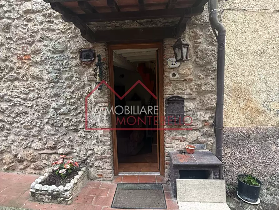 Immagine 20 di Terratetto in vendita  a Camaiore