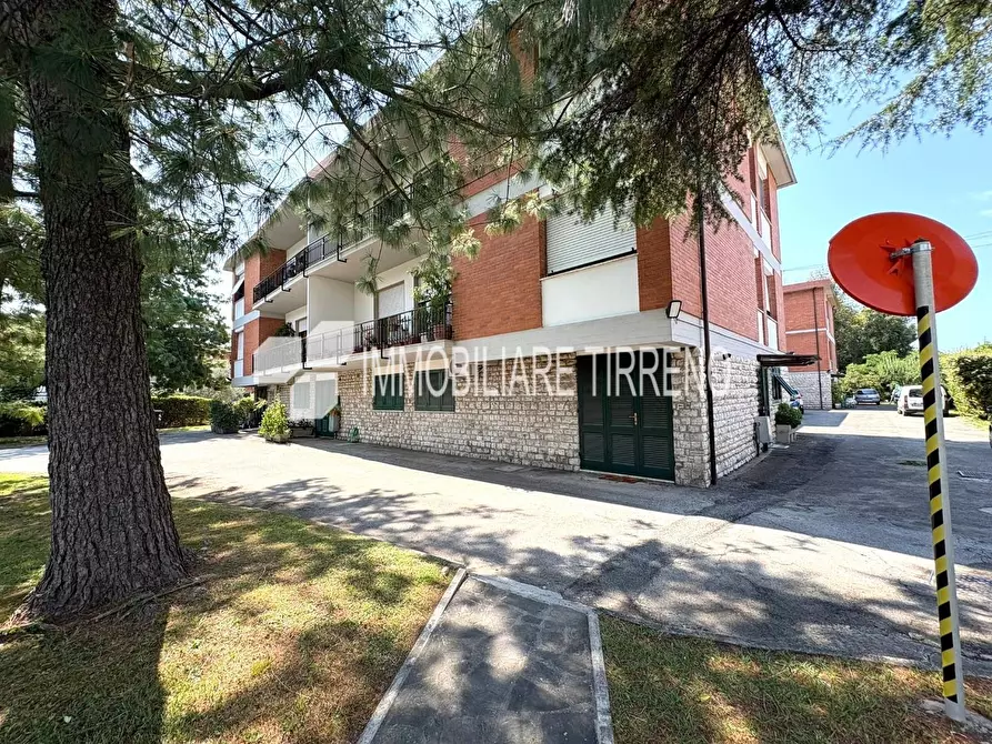 Immagine 1 di Appartamento in vendita  a Massa