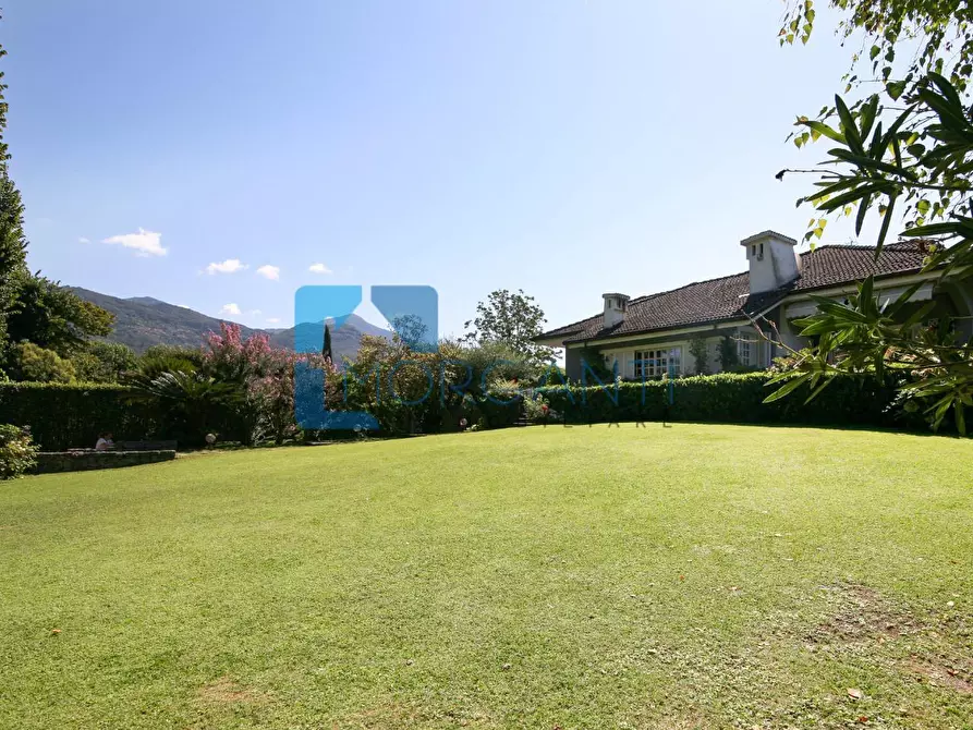 Immagine 10 di Villa in vendita  a Pietrasanta