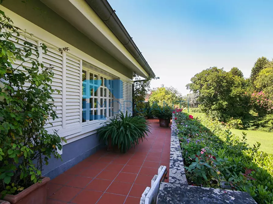 Immagine 4 di Villa in vendita  a Pietrasanta