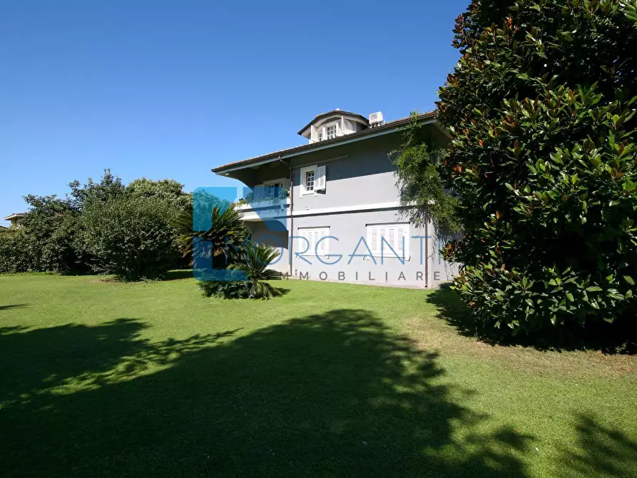 Immagine 9 di Villa in vendita  a Pietrasanta