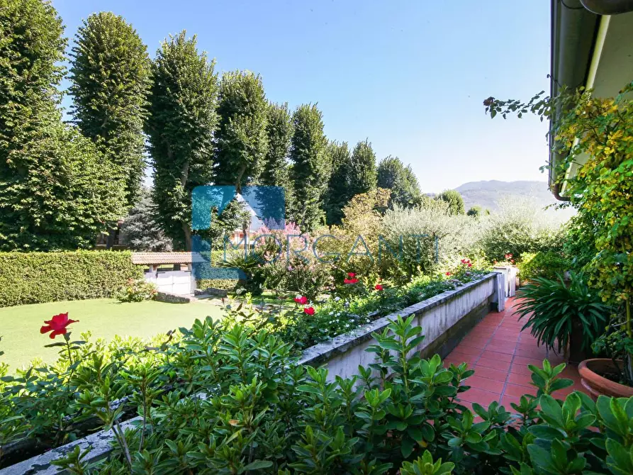 Immagine 12 di Villa in vendita  a Pietrasanta