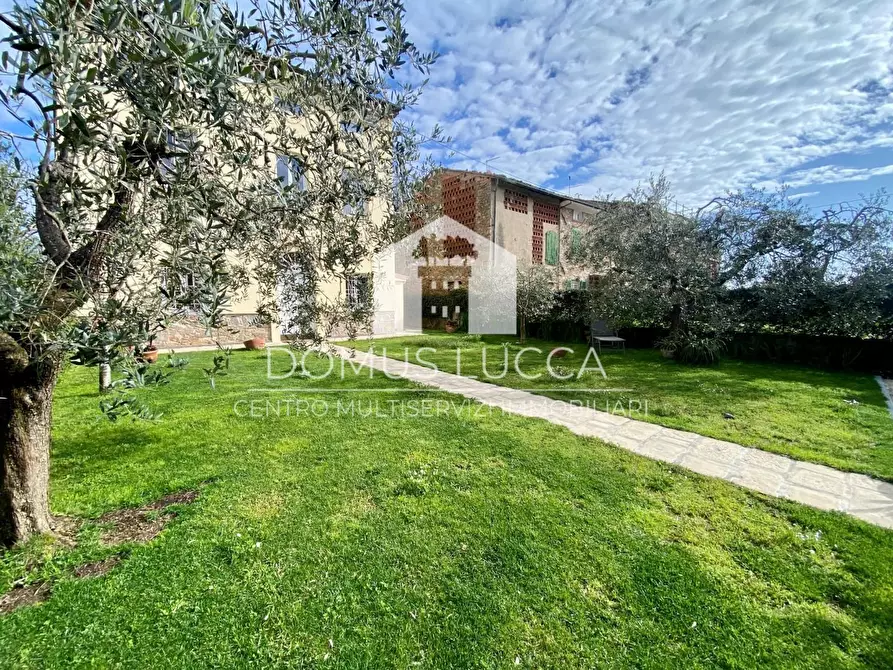 Immagine 16 di Casa colonica in vendita  a Capannori