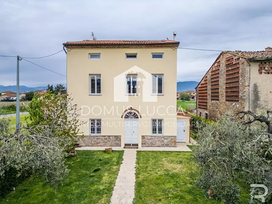 Immagine 10 di Casa colonica in vendita  a Capannori