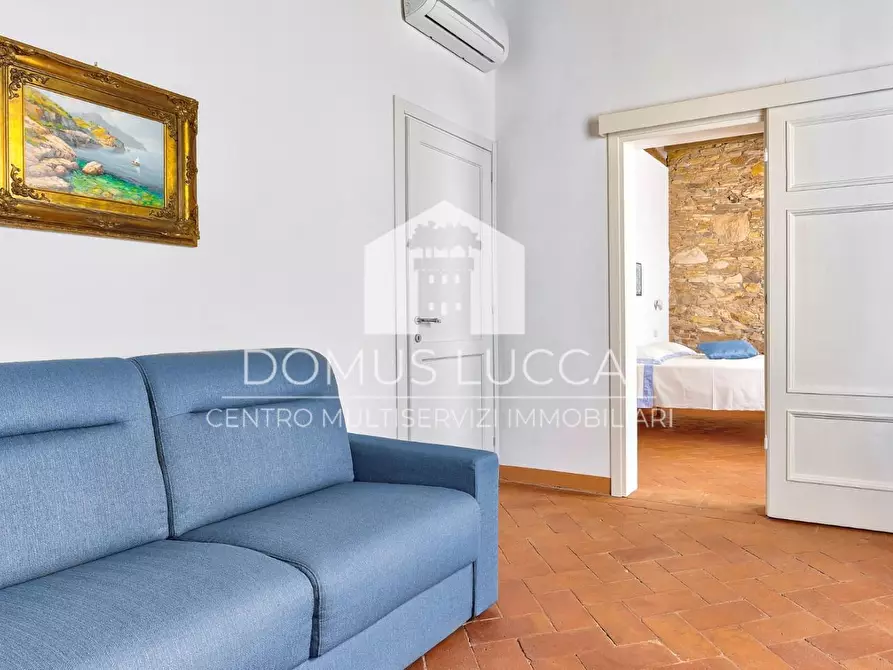 Immagine 3 di Casa colonica in vendita  a Capannori