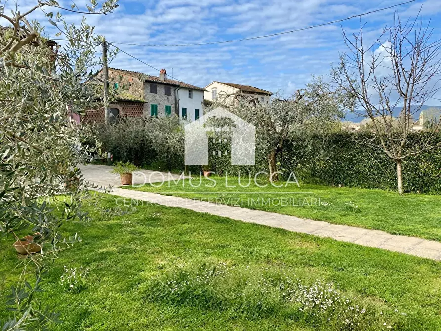 Immagine 17 di Casa colonica in vendita  a Capannori