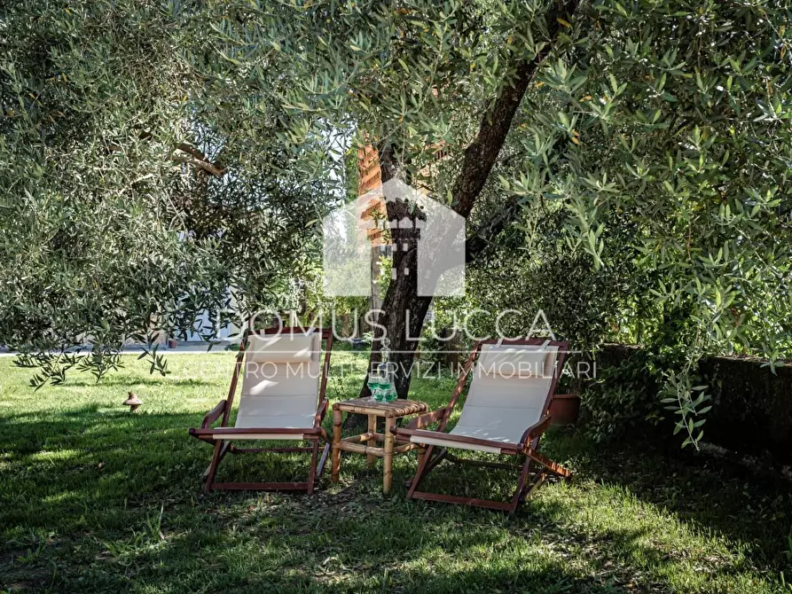 Immagine 5 di Casa colonica in vendita  a Capannori