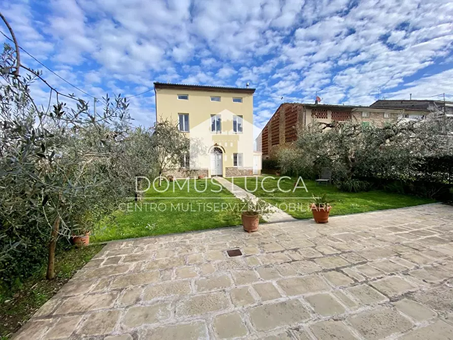 Immagine 12 di Casa colonica in vendita  a Capannori